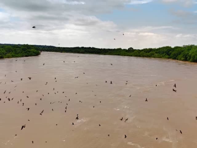 Red River (Oklahoma & Texas border) - Image 1