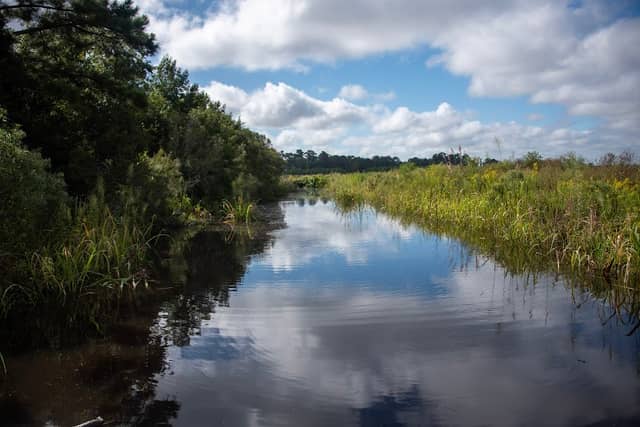 ACE Basin National Wildlife Refuge - The Grove Plantation - Image 3