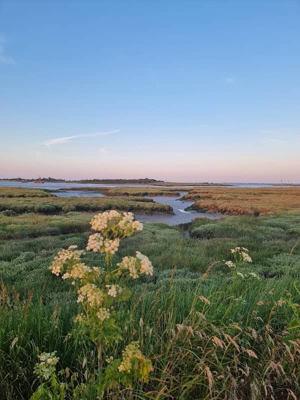 National Trust - Northey Island - Image 2