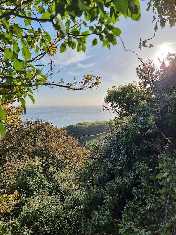 Isle of Wight Coast Path - Image 1