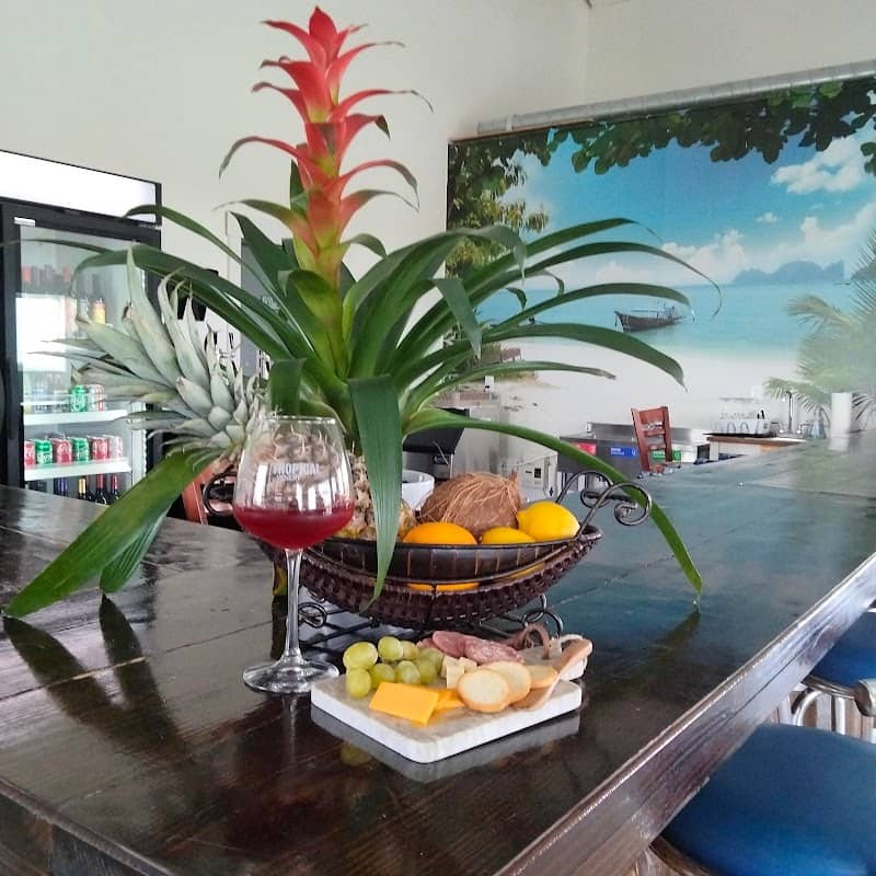 Tropical Winery - Image 1