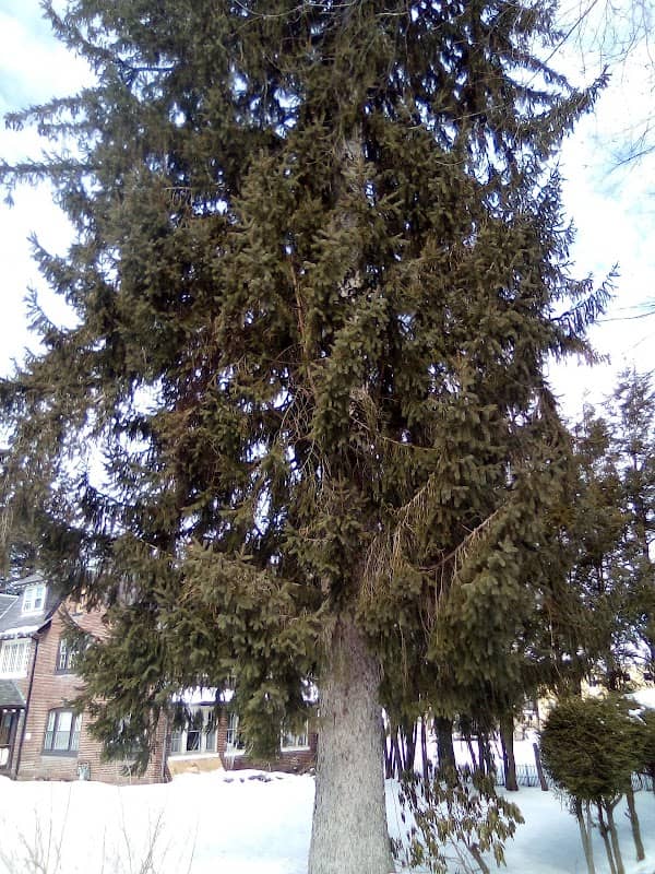 North End Historic District - Image 2