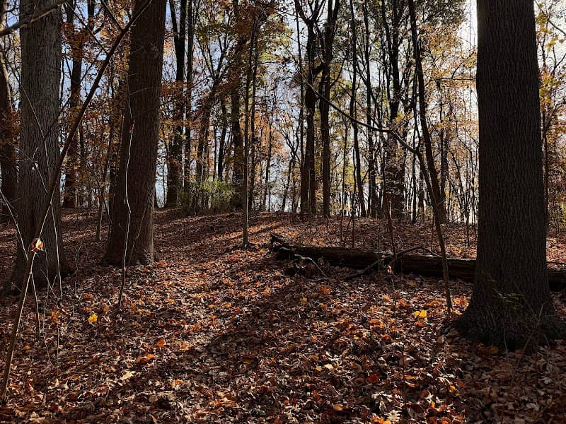 David Kerr Nature Trail - Image 2