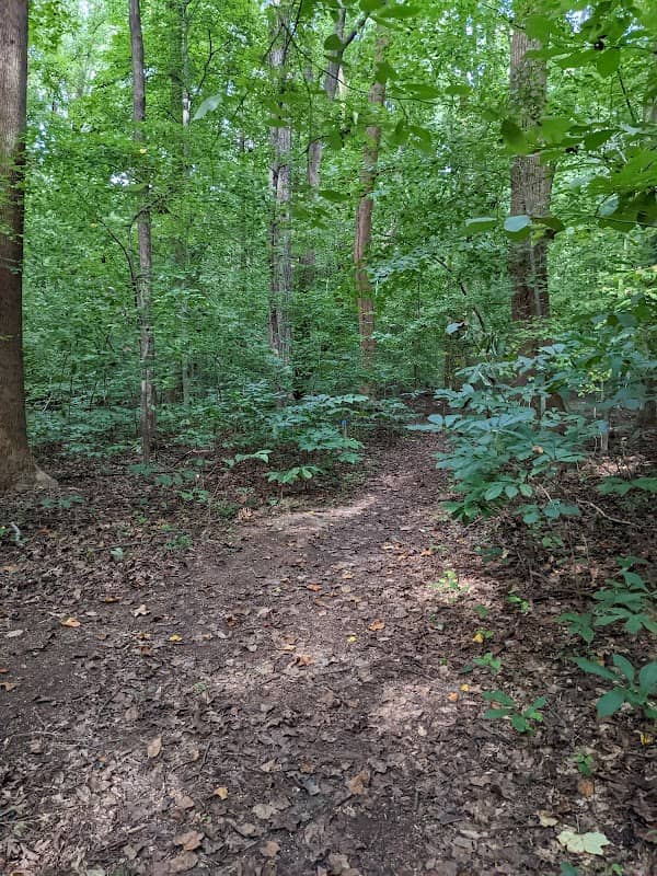 David Kerr Nature Trail - Image 1