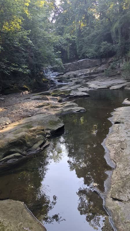 Ravine Falls - Image 1