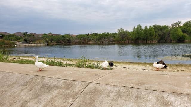 Independence Hills Park - Image 2