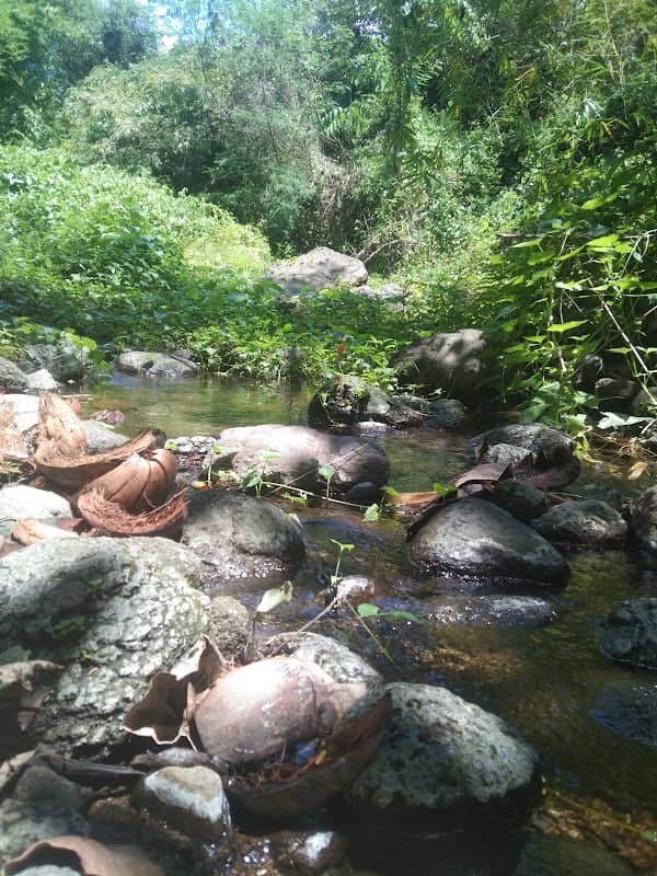 Bayangkad Mini Falls - Image 2