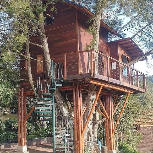 Finca Vásquez - Image 1