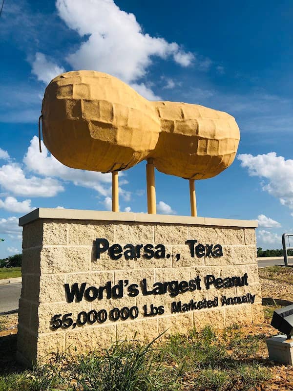 World's Largest peanut - Image 1
