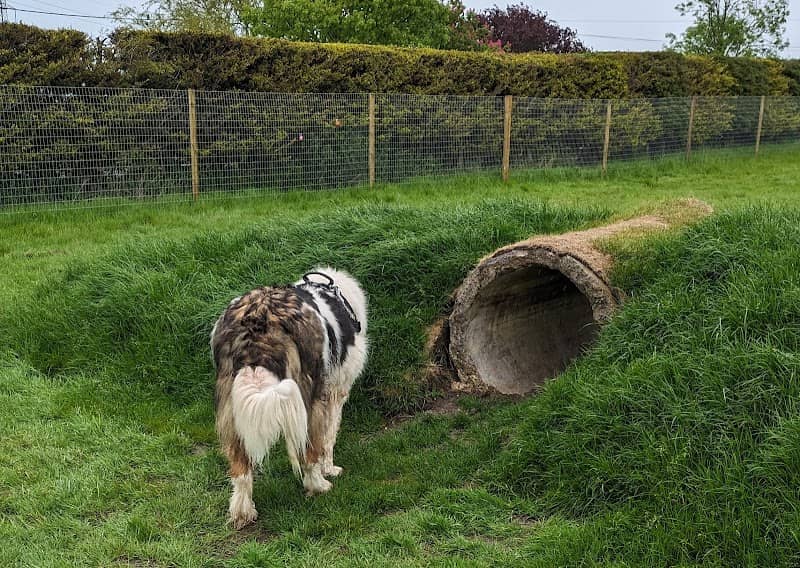 Dengie Bark Park - Image 2
