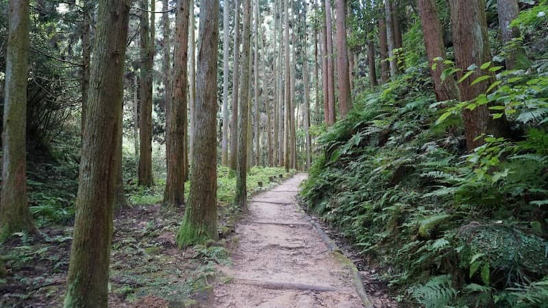 権現川ハイキングコース - Image 2