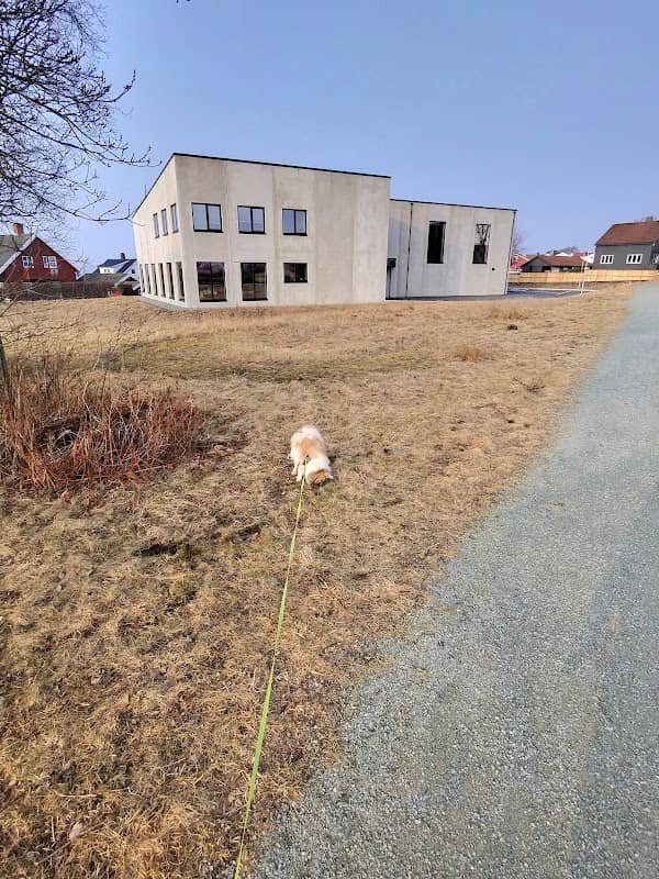 Bobassen - Image 1