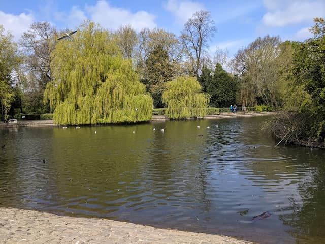 Ropner Park - Image 2