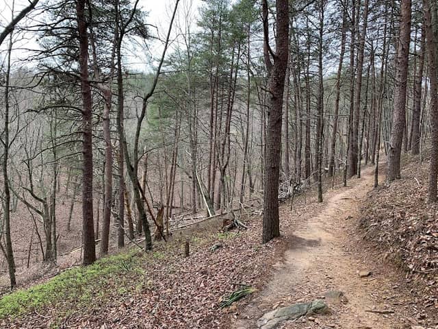 Sawnee Mountain Trailhead - Image 2