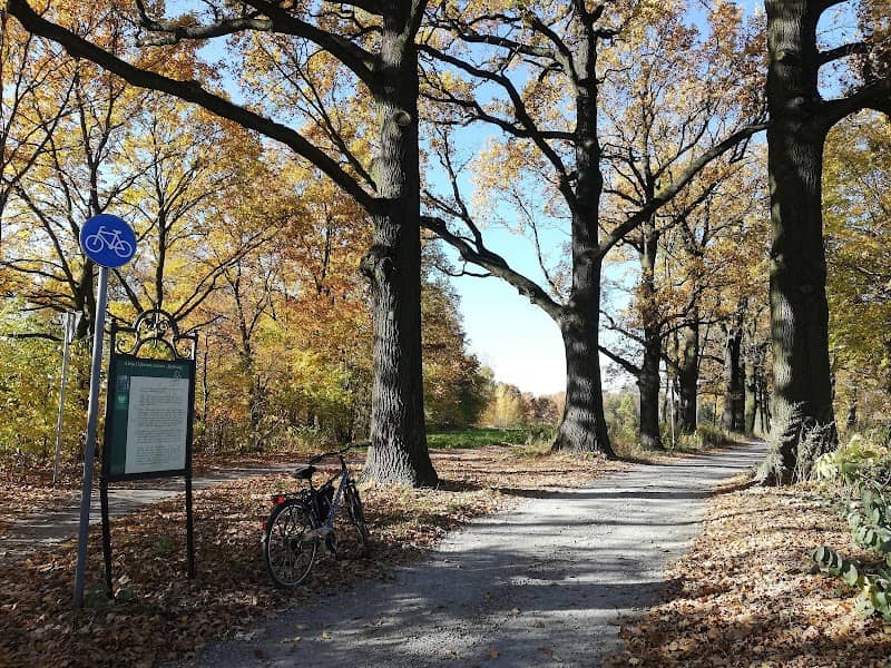 REITWEG - Image 1