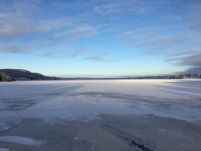 Fågeltorn - Image 1