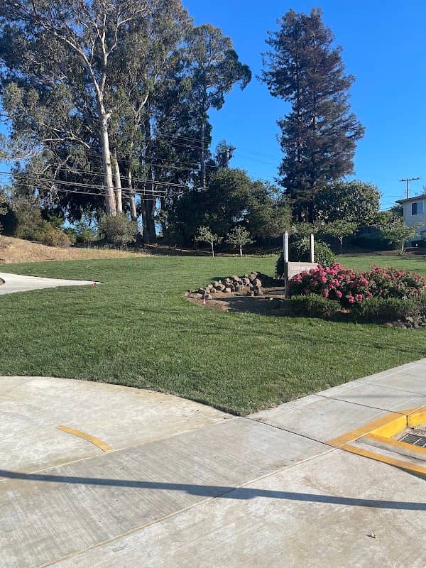 Josephine Waugh - Soroptimist Park - Image 2
