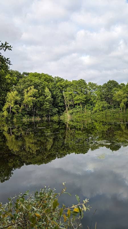 Gump Lake Park - Image 2