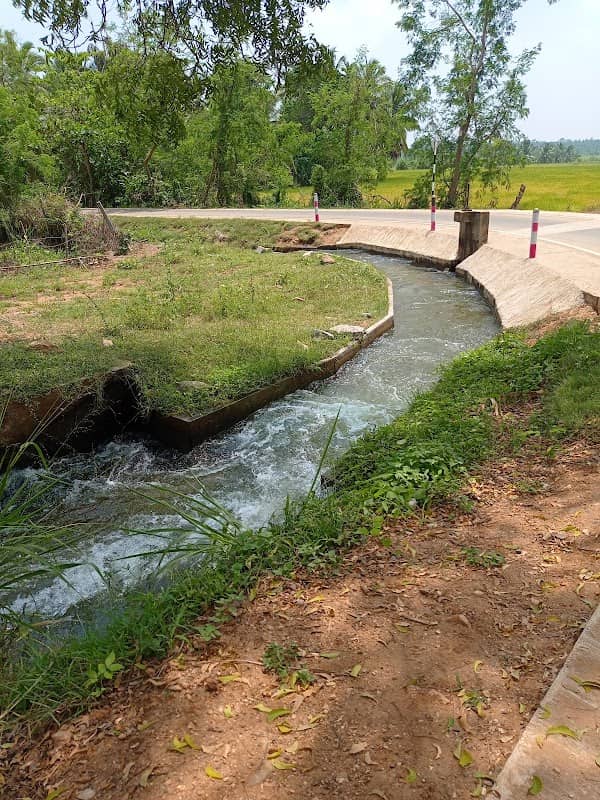 Natural Pool - Image 1