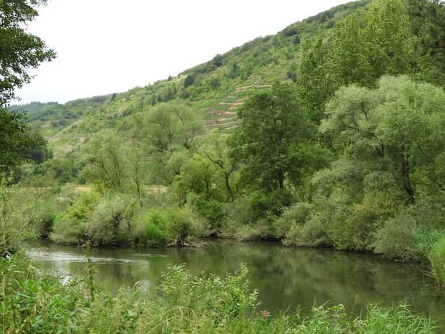 Taubengrün Nature Reserve - Image 1