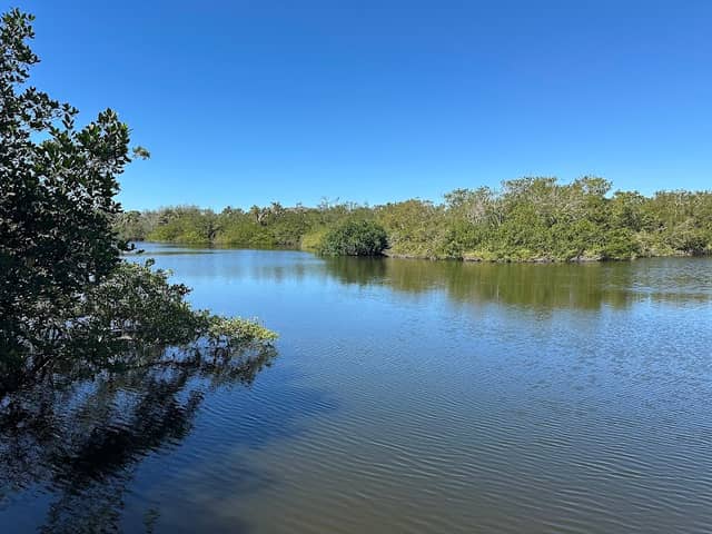 Manatee Cove - Image 1