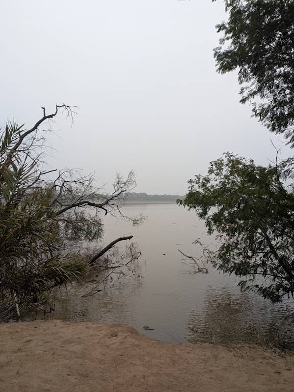 Bird watching area - Image 1