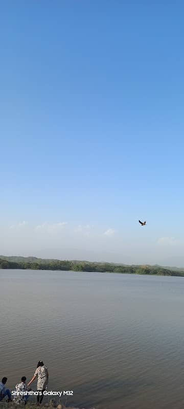 Bird watching area - Image 2