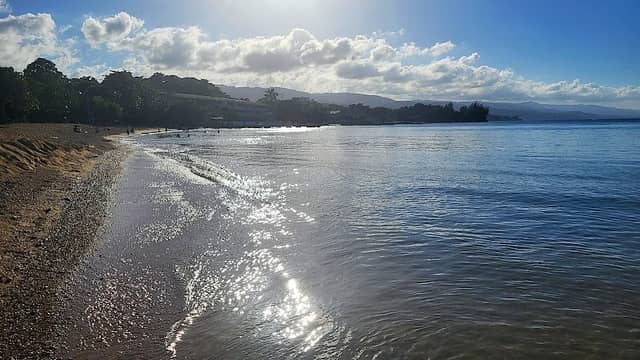 Shaw Park Beach - Image 2