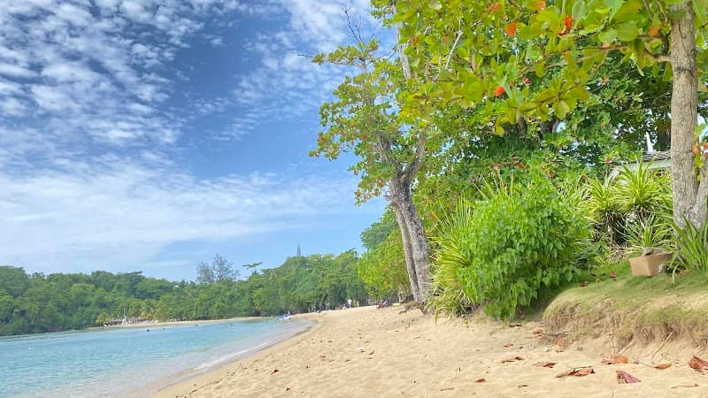 Shaw Park Beach - Image 1
