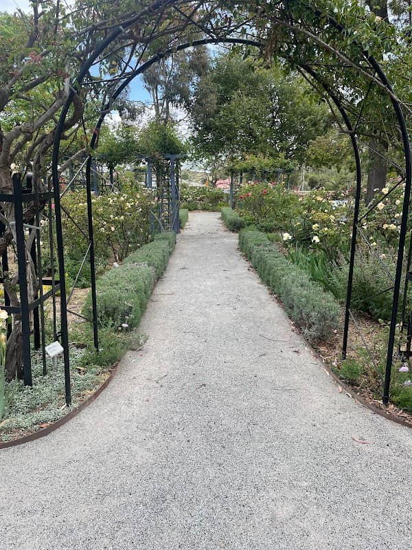 Alister Clark Memorial Rose Garden - Image 1