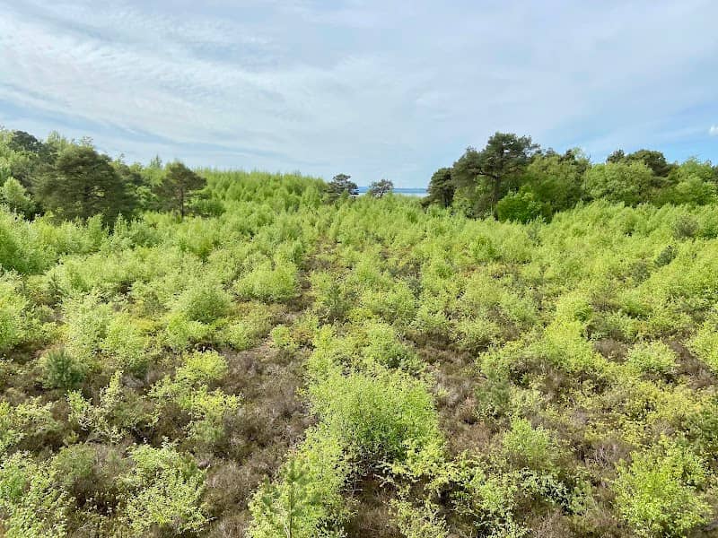 Lernpfad Moor - Image 1