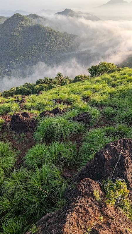Ponkunnu Hills West view point - Image 1