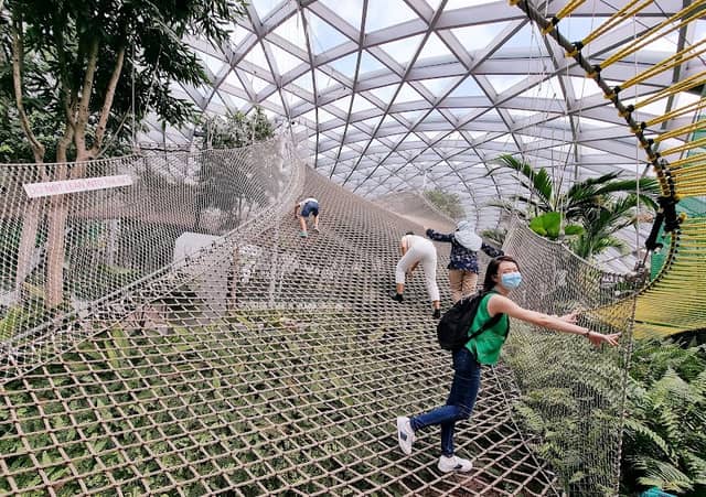 Canopy Park - Jewel Changi - Image 1