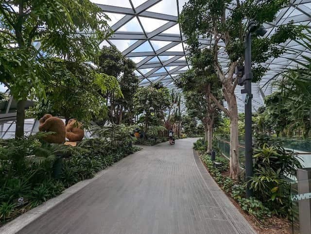 Canopy Park - Jewel Changi - Image 3