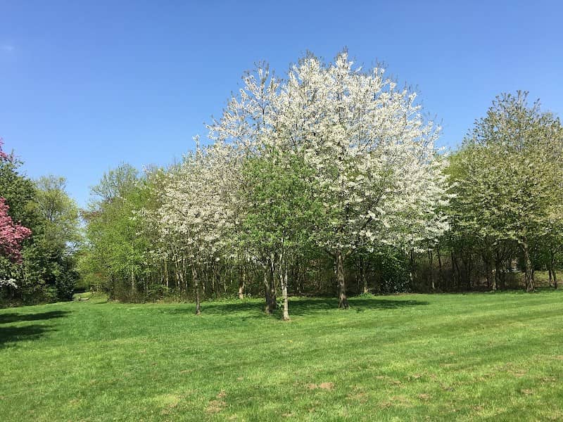 Highfield Park Trust - Image 2