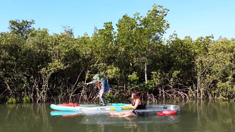 Savvy Paddles Clear Kayaking & Paddleboard Tours - Image 1