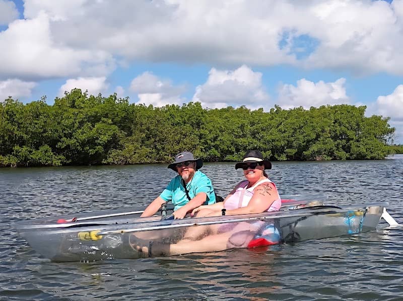 Savvy Paddles Clear Kayaking & Paddleboard Tours - Image 3