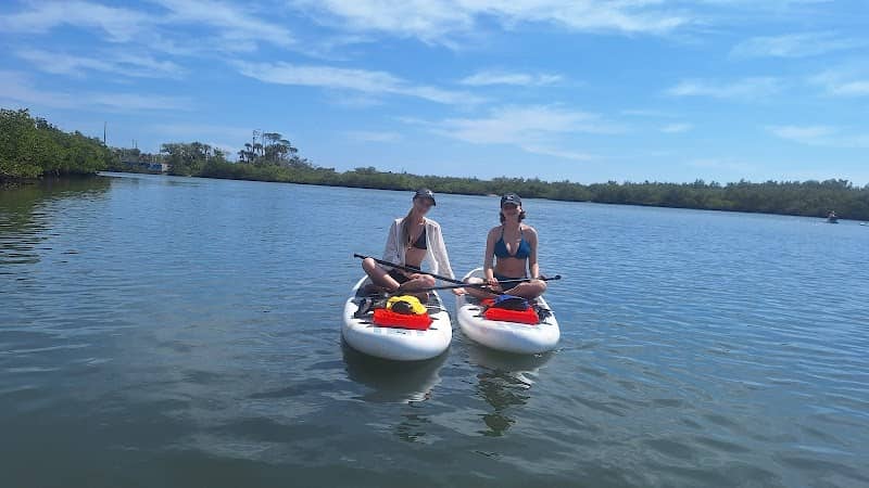 Savvy Paddles Clear Kayaking & Paddleboard Tours - Image 2