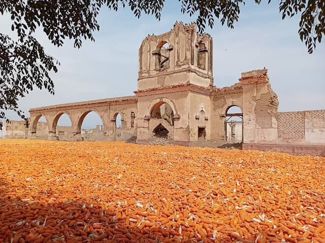 Ruinas Hacienda Santa Barbara - Image 1