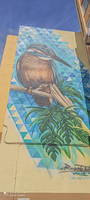 πΆπππππ ππππ - Mural - Image 1