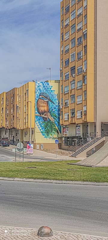 πΆπππππ ππππ - Mural - Image 2
