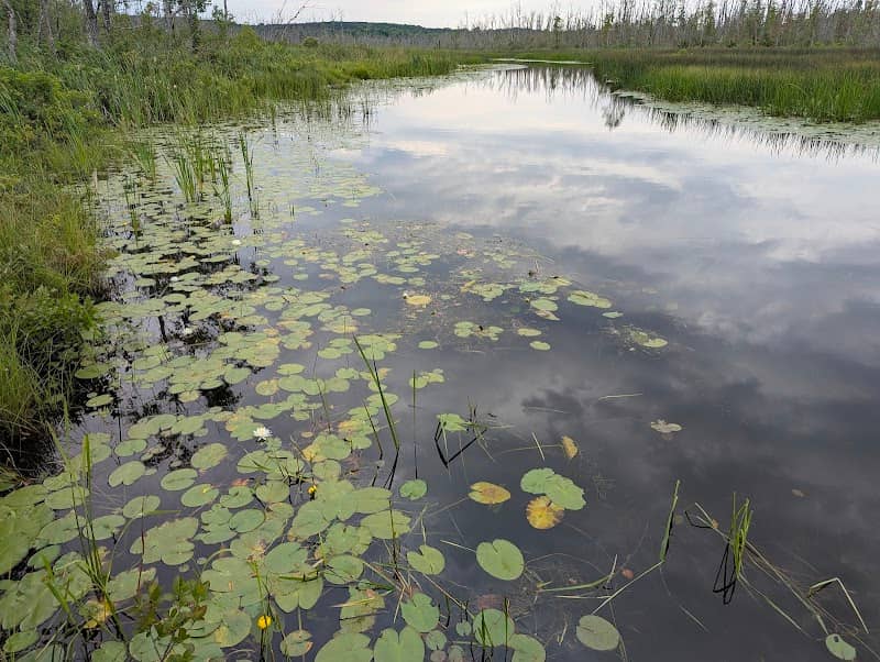 St. Clair Lake-Six Mile Lake Natural Area - Image 1