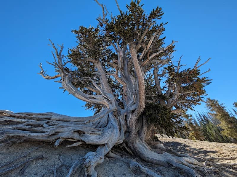Cedar Breaks National Monument - Image 1