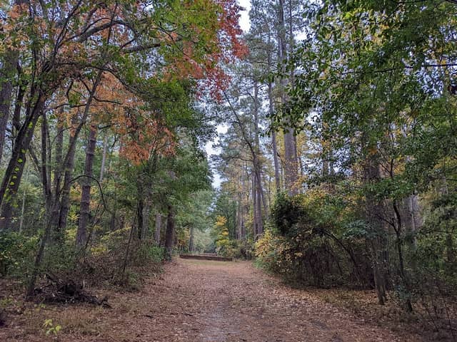 Hitchcock Woods - Image 1