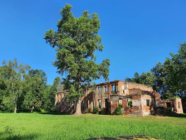 Demianovo Manor - Image 1