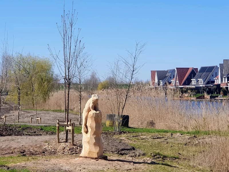 Het Klimaatbos - Image 2