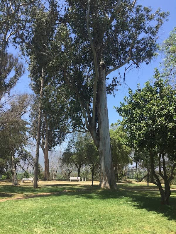 Municipal de Melipilla Park - Image 1