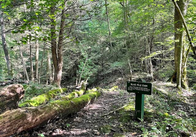 Kanawha State Forest - Image 2