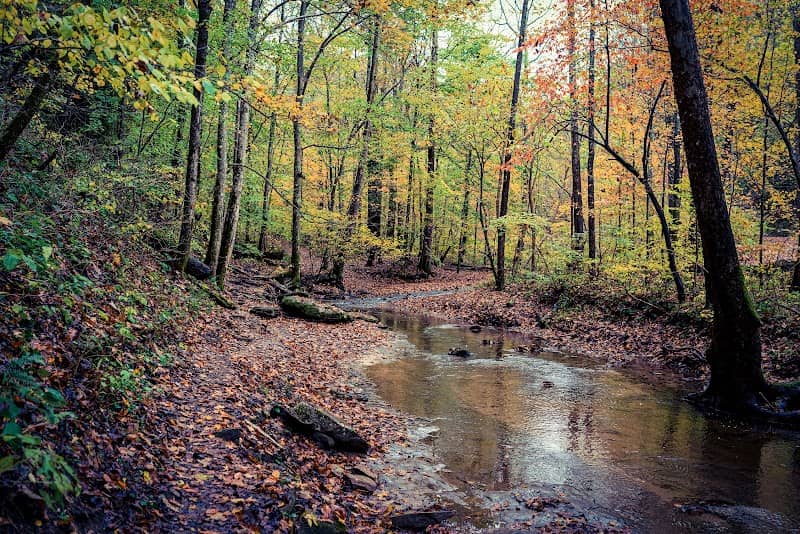 Kanawha State Forest - Image 3