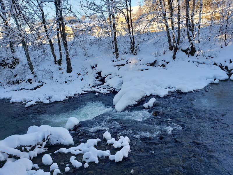 Chutes de la Veveyse - Image 1